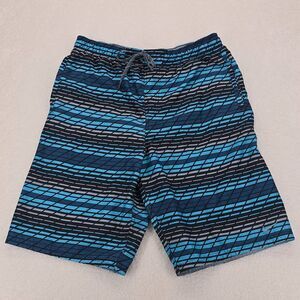 Nike Swimming‎ Mens Long Shorts Size Medium Color Blue Grey Black